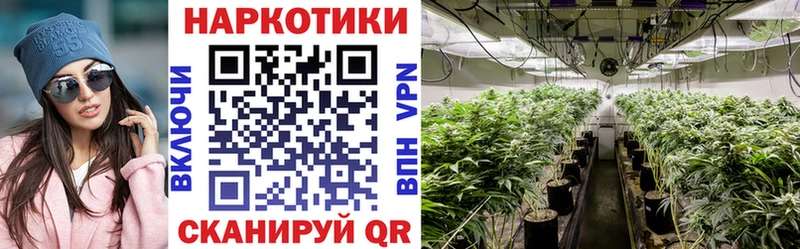 Названия наркотиков Сибай A PVP  Cocaine  ГАШ  Канабис 