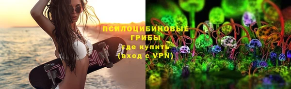 соль ск Аркадак