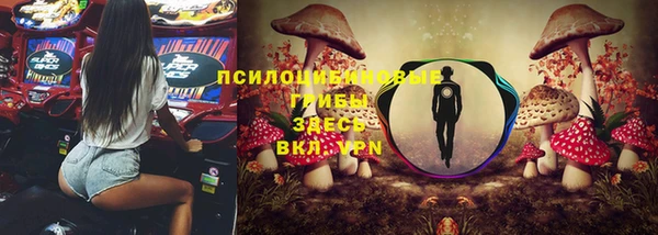 ALPHA PVP Арсеньев