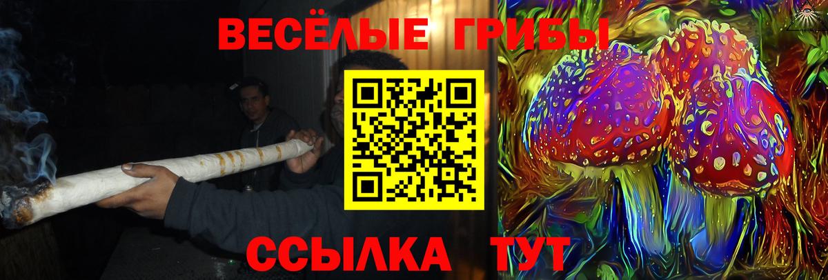 Псилоцибиновые грибы GOLDEN TEACHER Сибай