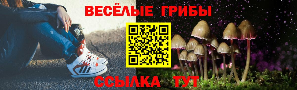Сибай  Галлюциногенные грибы Psilocybine cubensis  Галлюциногенные грибы мицелий  Вход с VPN 